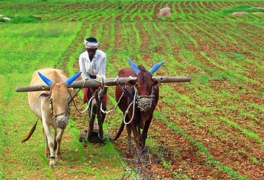 Many concession and facilities from government to farmers