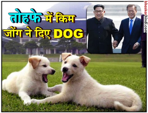 किम जोंग ने साउथ कोरिया के राष्ट्रपति को गिफ्ट दिए DOG