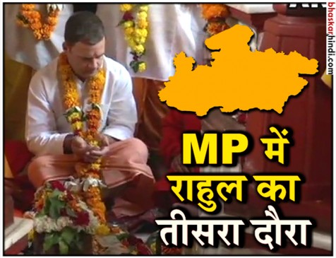 राहुल ने दतिया, डबरा और ग्वालियर में की चुनावी रैलियां, उमड़ा जनसैलाब