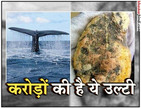 करोड़ों में बिकती है इस मछली की उल्टी