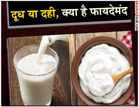 दही और दूध दोनों में भरपूर कैल्शियम, फिर भी एक है सेहत के लिए ज्यादा फायदेमंद