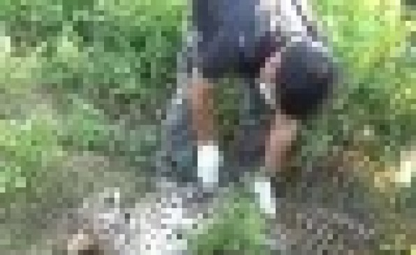 Sensation spread in the Raraghat forest after receiving a body of a death panther