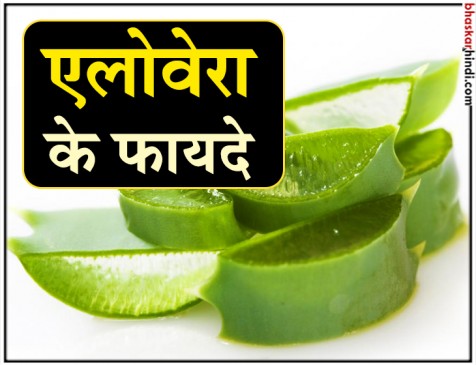 इन बीमारियों का इलाज करता है एलोवेरा, जानिए इसके फायदे