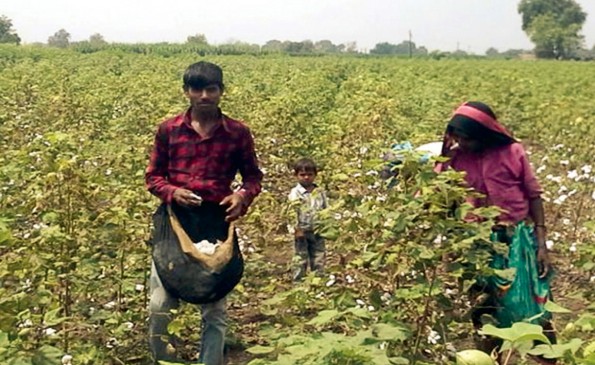 laborers unemployment due to drought in chandrapur maharashtra