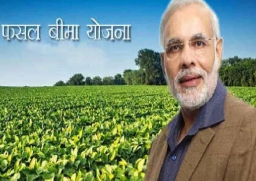 PM Insurance Scheme applies to Rabi Crop - Action will be taken against fraudsters