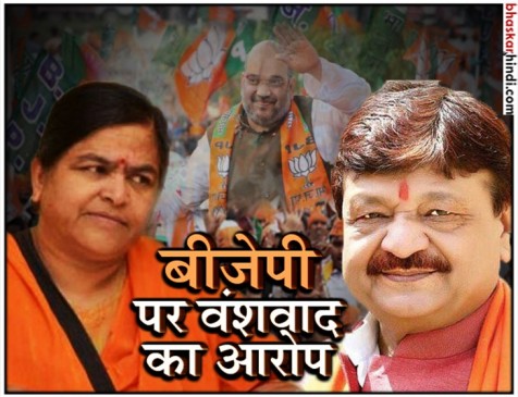 बीजेपी विधायक उषा ठाकुर का छलका दर्द, बोलीं- अमित शाह को सेट कर मुझे महू भेजा