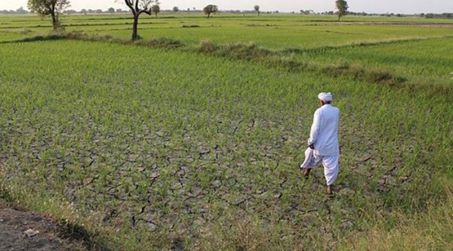 नुकसान भरपाई : नागपुर विभाग के 580 किसानों के लिए 11 करोड़ मंजूर
