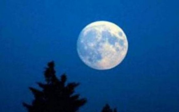Aghan Purnima: By this method, worship will get wealth benefits
