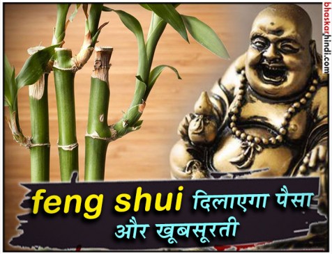 फेंगशुई वास्तु दोष खत्म करने के साथ बढ़ाते है घर की सुंदरता