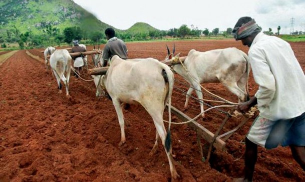 In this way technology can solve the problem of fake seeds
