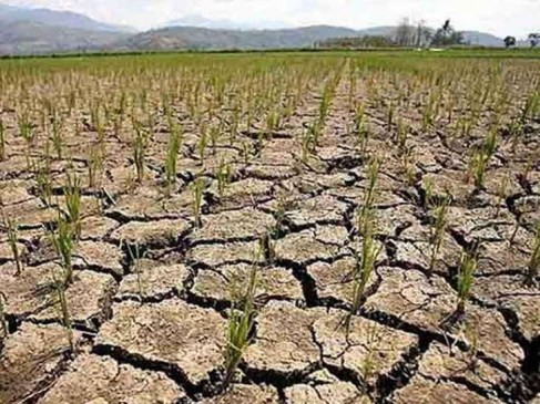 Most of 26 districts in Maharashtra are under grip of drought