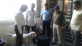 गणतंत्र दिवस के चलते RPF अलर्ट, नागपुर स्टेशन पर AK- 47 और डॉग स्क्वाड के साथ सिपाही तैनात गणतंत्र दिवस के चलते RPF अलर्ट, नागपुर स्टेशन पर AK- 47 और डॉग स्क्वाड के साथ सिपाही तैनात