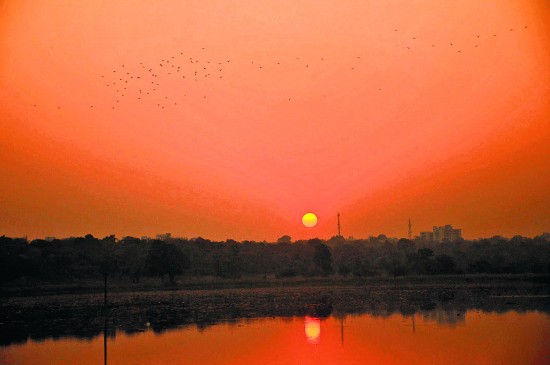 नागपुर में बदल रहा मौसम, कभी धूप तो कभी ठंड का अहसास