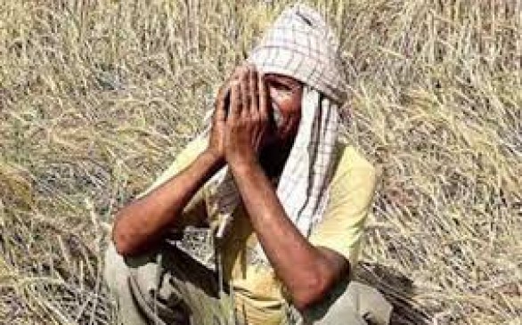 Notice issued to departmental commissioners and officials on compensation to farmers
