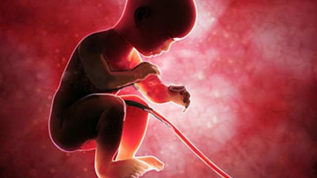 Mother wants to abort child due to deformities in childs lips