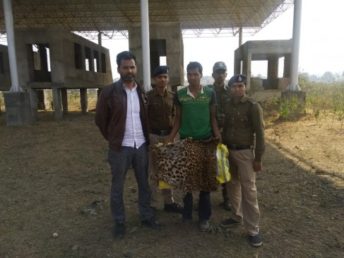 बोरी में तेंदुआ की खाल रख घूम रहा था युवक, पकड़े गए खाल तस्कर