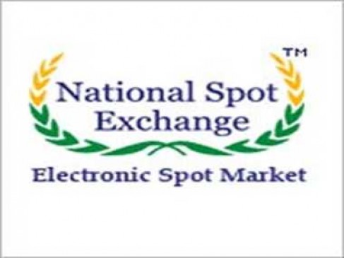 Shashidhar Kotiyan can disclose many evidence related to NSEL scam