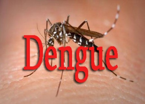 If mosquito larvae found in your house you have to pay 5 thousand fine
