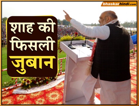 पुलवामा अटैक के बाद देश की सुरक्षा पर ये क्या बोल गए अमित शाह ?