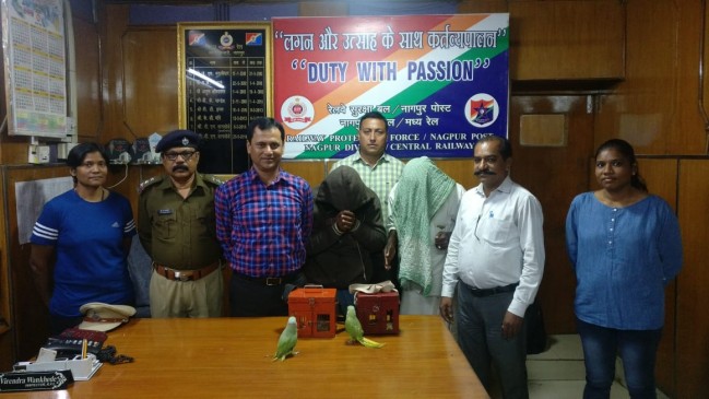 Nagpur : Police arrested two accused for carrying parrot in cage