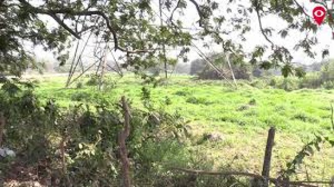 Encroachment on the forest land of nagpur maharashtra