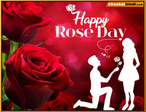 ROSE DAY: ऐसे ही नहीं है symbol of love, आपकी हजार फीलिंग्स को दर्शाता एक गुलाब