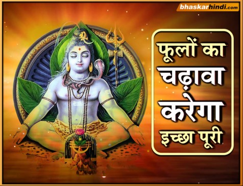 Mahashivaratri: Give these 11 of flowers, Wish will be fulfilled