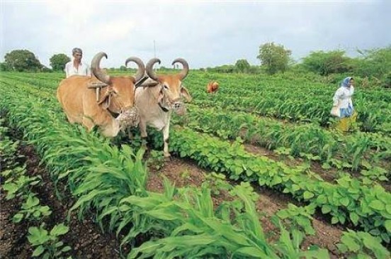 Mp farmers will not get the benefit of debit waiver
