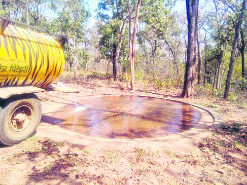 Sakoli/Bhandara : 214 Water Caps set to quench thirst of wildlife