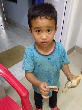 घायल चूजे को अस्पताल ले जाने वाले बच्चे को Peta ने दिया 'दयालु बच्चा सम्मान' घायल चूजे को अस्पताल ले जाने वाले बच्चे को Peta ने दिया 'दयालु बच्चा सम्मान'
