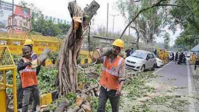 Need to be balance between development and environment: High Court