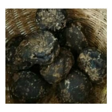 काले गुड़ की तस्करी : महुआ शराब बनाने में इस्तेमाल कर रहा माफिया