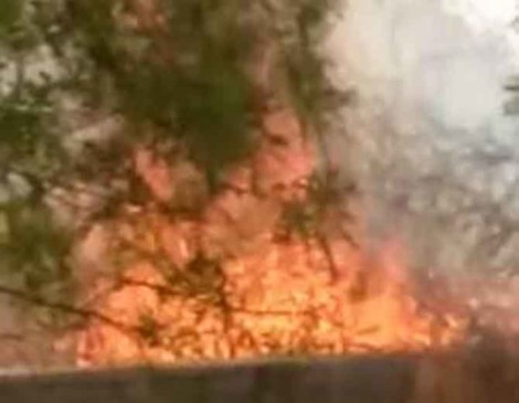 Now forest department will surviellance the forest fire through satellite
