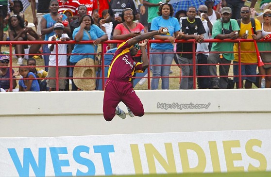 ICC world cup 2019: इन 5 फील्डरों पर होंगी सबकी नजरें ICC world cup 2019: इन 5 फील्डरों पर होंगी सबकी नजरें