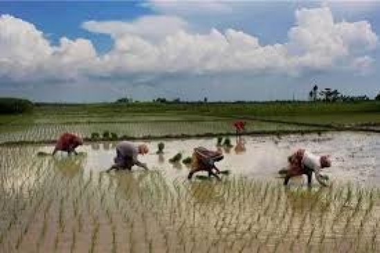 मॉनसून का बेसब्री से इंतजार : आसमान में किसानों की टकटकी, काले मेघा पानी तो बरसाओ मॉनसून का बेसब्री से इंतजार : आसमान में किसानों की टकटकी, काले मेघा पानी तो बरसाओ