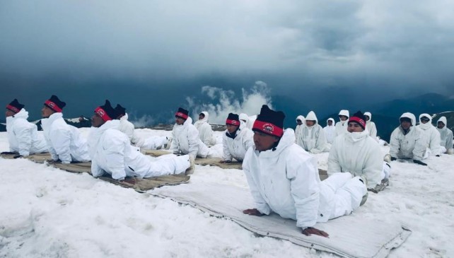 अंतर्राष्ट्रीय योग दिवस: जल, थल, बर्फ में योग, जानवरों ने भी लगाए आसन अंतर्राष्ट्रीय योग दिवस: जल, थल, बर्फ में योग, जानवरों ने भी लगाए आसन