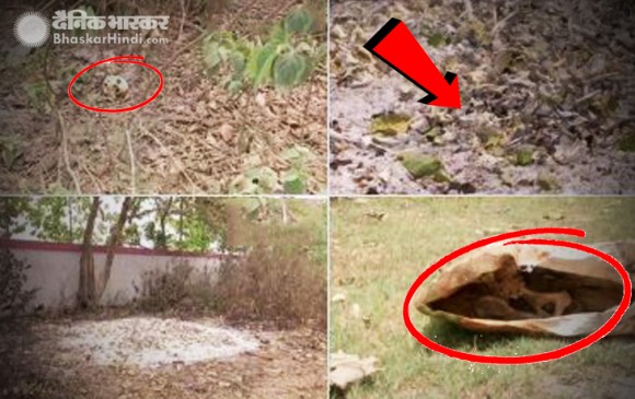 बिहारः मुजफ्फरपुर में SKMCH अस्पताल के पीछे मिले मानव कंकाल, डीएम ने मांगी रिपोर्ट