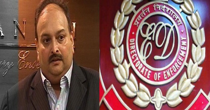 Do not listen to Mehul Choksis - ED demands in the high court Do not listen to Mehul Choksis - ED demands in the high court
