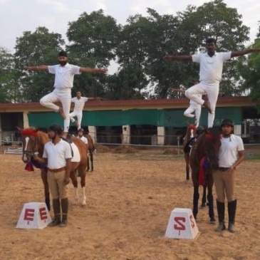 अंतर्राष्ट्रीय योग दिवस: जल, थल, बर्फ में योग, जानवरों ने भी लगाए आसन अंतर्राष्ट्रीय योग दिवस: जल, थल, बर्फ में योग, जानवरों ने भी लगाए आसन
