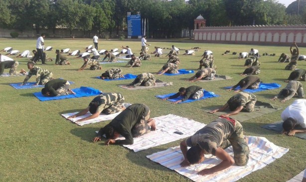 अंतर्राष्ट्रीय योग दिवस: जल, थल, बर्फ में योग, जानवरों ने भी लगाए आसन अंतर्राष्ट्रीय योग दिवस: जल, थल, बर्फ में योग, जानवरों ने भी लगाए आसन