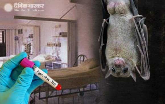 केरल में फिर निपाह वायरस ने दी दस्तक, चपेट में एक छात्र, 86 निगरानी में