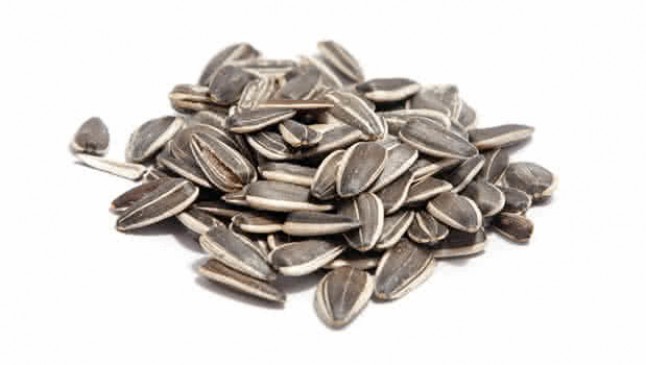 Kharif sowing will be done in 5 lakh 7 thousand 600 hectares