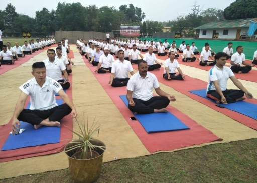 अंतर्राष्ट्रीय योग दिवस: जल, थल, बर्फ में योग, जानवरों ने भी लगाए आसन अंतर्राष्ट्रीय योग दिवस: जल, थल, बर्फ में योग, जानवरों ने भी लगाए आसन