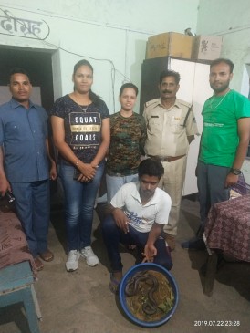 Smugglers arrested with sandboa snake