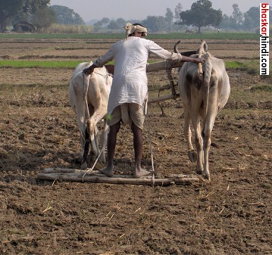 मंत्रिमंडल की मंजूरी : अल्पसंख्यक समुदाय की महिलाओं को कौशल्य प्रशिक्षण, लातूर के किसानों की होगी नुकसान भरपाई मंत्रिमंडल की मंजूरी : अल्पसंख्यक समुदाय की महिलाओं को कौशल्य प्रशिक्षण, लातूर के किसानों की होगी नुकसान भरपाई