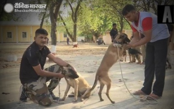 MP: कमलनाथ सरकार ने किए कुत्तों के भी तबादले, BJP बोली- हाय रे बेदर्दी