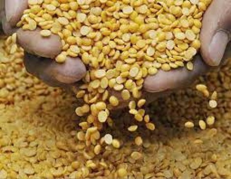 Pulses will be provided on the government ration shops in state