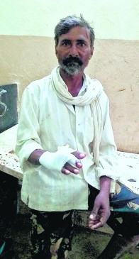 Forest officers beating seven farmer serious injured admitted in hospital