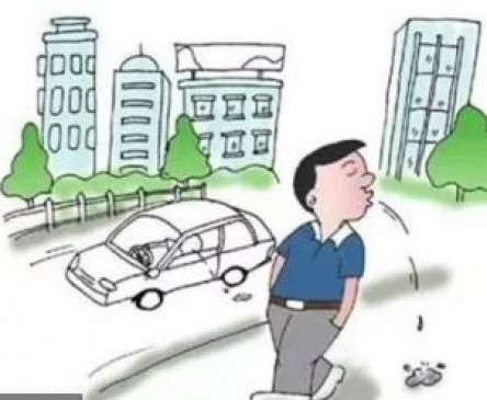Action of nuisance detection squad municipal corporation maharashtra