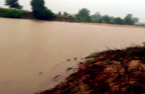 विदर्भ में बारिश ने लाई आफत,  डेढ़ सौ से अधिक गांवों का संपर्क टूटा